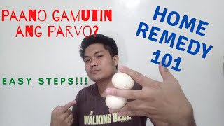 Paano gamutin ang Parvo  Home Remedy for Parvo  How to treat Parvovirus  D Jem [upl. by Bassett]