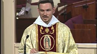 Todays Homily  20130408  Annunciation of the Lord  Fr Patrick Mary MFVA [upl. by Eizeerb204]