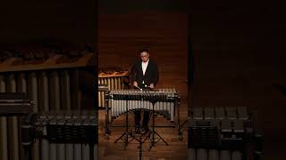 Emmanuel Séjourné  Vibraphone Concerto mov1 ver Alejandro Coello [upl. by Bussey]