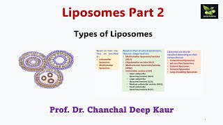 Liposomes Part 2 Types of Liposomes [upl. by Yrffoeg]