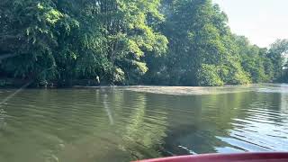 A cruise beyond wroxham bridge star gem 1 Norfolk Broads [upl. by Zetnauq]