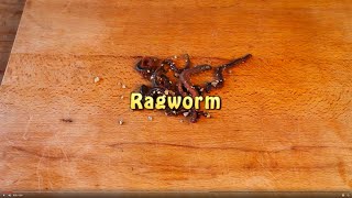 Bass Fishing Baits  How To Fish Ragworm [upl. by Eeloj975]