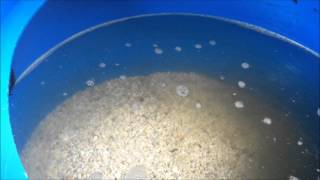 Cleaning Sand Gravel Filter elapsed time [upl. by Yleme]