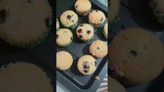 cake muffins cupcakes wheatcupcake chocolatedessert cake [upl. by Capps]