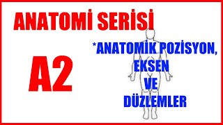 Anatomik Pozisyon  Eksenler ve Düzlemler A2 Anatomi 2020 [upl. by Aldric366]