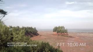 50ft tides in Burntcoat Head Park Nova Scotia [upl. by Yensehc]