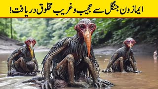 Top 8 Unusual Things That Was Found From The Amazon Rainforest In Urdu Hindi l Maloomatiworld [upl. by Auhel912]