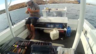 munted hunters carnarvon islands fishing 2023 [upl. by Atirys]