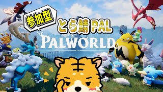 【PALWORLD】14 久しぶりにパルの世界に入るかー！ウチのパルたちは元気かいの？【とら吉LIVE】 [upl. by Ylla810]