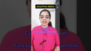 Acalypha indica homoeopathy medicine bhmsnotes materiamedica cough dryness childrencaretips [upl. by Resneps329]