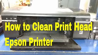 How to Clean Print Head Epson L800 Printer [upl. by Ilyse]