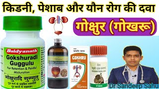 kidney peshab Aur Yon Rog Ki Dawa gokshura  gokhru Ke Fayde healthandayurveda9967 [upl. by Granthem]