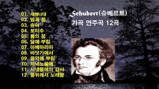 ♣Schubert슈베르트 가곡 연주곡 12곡 모음♣ [upl. by Airdnazxela]