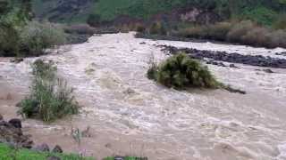 شلالات نهر الأردن جارفة بشكل مخيف شمال بحيرة طبريا Jordan River [upl. by Storer543]