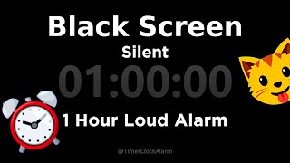 Black Screen 🖥 1 Hour Timer Silent 1 Hour Loud Alarm [upl. by Gregor]