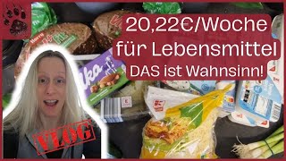 SPAREN extrem günstiger Wocheneinkauf 2022€ 🥳 PERFEKT foodhaul budgetplanung vlog minimalist [upl. by Acirne763]