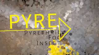 PyreX Cylinderized ULV Insecticide [upl. by Esdnil957]