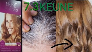 KEUNE Dream Hair Colour 73 review Hair Colouring Without Cut Down [upl. by Yllak324]