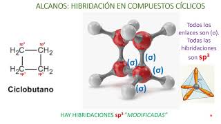 QUÍMICA ORGÁNICA VIDEO 2 Alcanos Hibridación estructura nomenclatura y propiedades físicas [upl. by Tivad277]