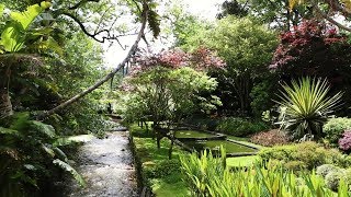 Naturaleza hermosa  Flores y campos [upl. by Lahcsap]