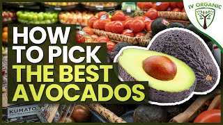 How To Pick The BEST StoreBought Avocados [upl. by Sabra]