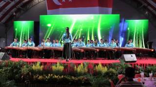 Guzheng  Medley of Singapore and Di Tanjong Katong [upl. by Alrich]