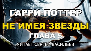 Не имея звезды  Глава 5  Гарри Поттер аудиокнига Васильев С [upl. by Bardo765]