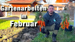 Gartenarbeit im Februar Radieschen säen Weinrebe schneiden letzte Ernte aus 2023 [upl. by Esirehs]