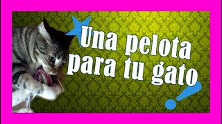 Cómo hacer feliz a mi gato❓ PELOTA con SONIDO para GATOS 🐱CASERA en 5 minutos [upl. by Ledda616]