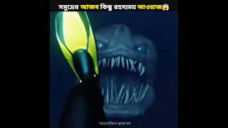 যদি কখনো এই শব্দ শুনতে পান তাহলে দৌড়ে পালান😱  If You Hear This Sound Run 😰shorts viral [upl. by Nodnyl]