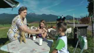 Alpenwelt Karwendel  Urlaub mit der Familie [upl. by Anirpas]