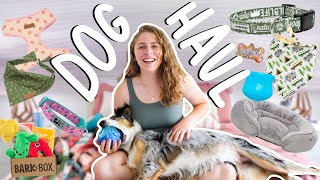 EVERYTHING Weve Bought Our 7 Month Old Aussie An Updated Dog Haul since our 8 Week Puppy Haul [upl. by Tebasile]