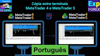 Português COPYLOT Copiadora para MetaTrader 45 [upl. by Hinckley]