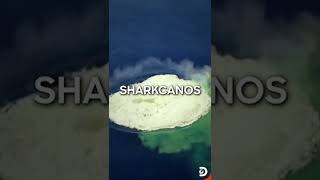 Tornadoes Volcanoes Sharknado and now… SHARKCANOS KavachiVolcano shorts discoverychannel [upl. by Haidabo]