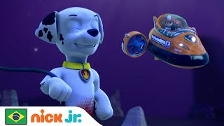 Patrulha Canina  MerPup Ajuda a Patrulha Canina num Resgate  Nick Jr em Português [upl. by Nolyk595]