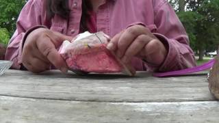 How you are trimming the hoof capsule OFF your Horses Foot [upl. by Yasmar]