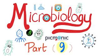 Microbiology Gram   Campylobacter jejuni Vibrio cholera Ecoli Klebsiella  Picmonic Part 9 [upl. by Eycats]