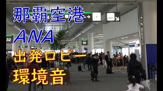 【環境音】那覇空港ANA出発ロビーアナウンスNaha Airport Departure Terminal [upl. by Aissenav743]