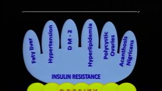 MICROBIOTA INTESTINAL INFLAMACIÓN Y DIABETES MELLITUS [upl. by Loux]