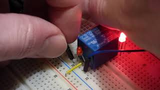 Electronics single pole double throw switch demonstration circuit using SRD 05VDC SL C relay [upl. by Eveiveneg]