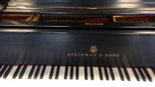 1886 Steinway B [upl. by Ansilma]