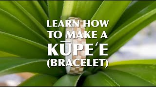 How to make a kūpeʻe bracelet [upl. by Sherry]