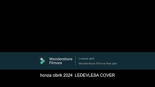 Honza Cibrik 2024 Ledevlesa Cover [upl. by Mathian975]