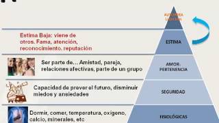 Satisfacción laboral y motivación [upl. by Westberg]