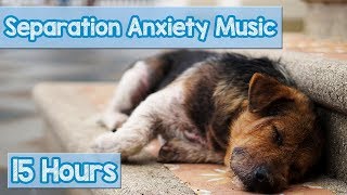 15 HOURS of Deep Separation Anxiety Music for Dog Relaxation Helped 4 Million Dogs Worldwide NEW [upl. by Ecneralc549]