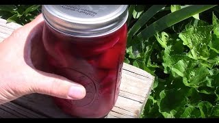 How We Made Our Small Batch Refrigerator Pickled Beets And The Easy Recipe We Used [upl. by Iknarf818]