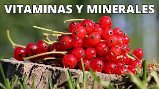 ¿Cuáles son las VITAMINAS y MINERALES de la Grosella Beneficios y tipos de GROSELLA [upl. by Osnofedli]