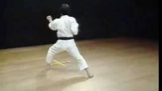 Shotokan Kata Bassai Dai  Kanazawa Hirokazu [upl. by Ginzburg]