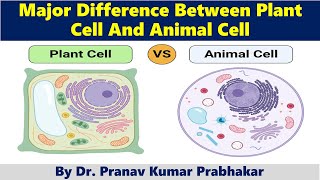 Major Difference Between Plant Cell And Animal Cell [upl. by Audly]