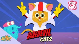 How Do Cats Survive Massive Falls  The Dr Binocs Show  Learning Videos For Kids  Peekaboo Kidz [upl. by Farra]